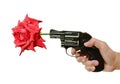Hand holding revolver gun shooting red rose with drop of water on white background Royalty Free Stock Photo