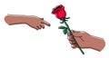 Hand holding a rose and giving it. Man gives a flower to a woman. Royalty Free Stock Photo