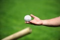 Hand holding a rounders ball