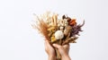 a hand holding a rustic bouquet of dried flowers and plants against a white background Royalty Free Stock Photo