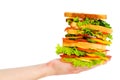 Hand holding sandwich isolated Royalty Free Stock Photo