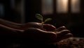 Hand holding sapling, new life begins again generated by AI