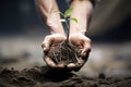 a hand holding a sapling ready to plant in the volcanic ash