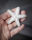 Hand holding seed bead embroidered brooch in a shape of starfish Royalty Free Stock Photo