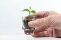 Hand holding a seedling of a lemon tree in a small glass, living plant as nature and green business metaphor for care, patience, Royalty Free Stock Photo