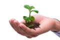 The hand holding seedling in new life concept on white Royalty Free Stock Photo