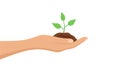 A hand holding a seedling in the soil, isolated on a white background. Flat vector illustration Royalty Free Stock Photo