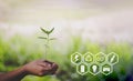 Hand holding seedlings with environment icons over the Network connection on nature background, Technology ecology concept