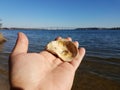 Hand holding shell near water and bridge in Solomons Island Maryland
