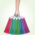 Hand Holding Shopping Bag Royalty Free Stock Photo