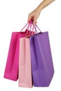 Hand holding shopping bags Royalty Free Stock Photo