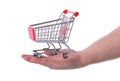 Hand holding shopping trolly