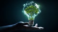 A hand holding showing light bulb with green plant energy, future technology, energy sources for renewable, clean energy for
