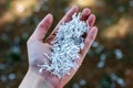 hand holding shredded paper for recycling symbol Royalty Free Stock Photo