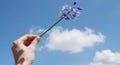 A hand holding a single flower against a blue sky with white clouds Royalty Free Stock Photo