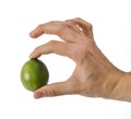 Hand holding a single lime