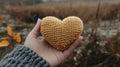 Hand holding a small knitted heart in an autumnal field Royalty Free Stock Photo