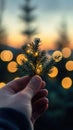 Hand Holding Small Lit Christmas Tree Royalty Free Stock Photo