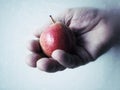Hand holding small pear Royalty Free Stock Photo