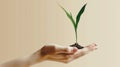 A hand holding a small plant in its palm Royalty Free Stock Photo