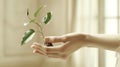 A hand holding a small plant in a pot Royalty Free Stock Photo