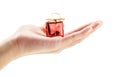 Hand holding a small red gift box Royalty Free Stock Photo