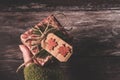 Hand holding a small secret Christmas present with creative handmade decorative rustic diy gift wrapped in red retro wrapping Royalty Free Stock Photo