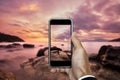 Hand holding smart phone taking photo of sunset landscape in vertical composition, in summer vacation time Royalty Free Stock Photo