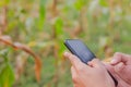 Hand holding smart phone touch screen or typing message for business, using app on cell phone to connection wireless, green Royalty Free Stock Photo