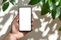 hand holding smartphone with blank screen under sunlight, surrounded by green leaves casting shadows Royalty Free Stock Photo