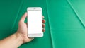 Hand holding a smartphone with a blank white screen against a green Royalty Free Stock Photo
