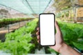 Hand holding smartphone screen vegetable garden background Royalty Free Stock Photo