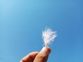 Hand Holding Soft White Duck Feather During A Hot Day with Clear Blue Sky Background Royalty Free Stock Photo