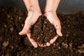 Hand holding soil peat moss Royalty Free Stock Photo