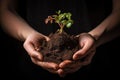 hand holding soil with a sprouting seed inside Royalty Free Stock Photo