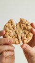Hand Holding Split Gooey Cookie with Peanut Butter Filling Royalty Free Stock Photo
