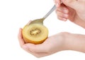 Hand holding spoon inserted in sungold yellow kiwi held in other hand isolated on white Royalty Free Stock Photo