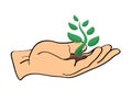 Hand holding sprouts vector icon