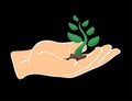 Hand holding sprouts vector icon