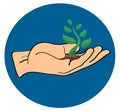 Hand holding sprouts vector icon