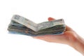 Hand holding stack of polish banknotes Royalty Free Stock Photo