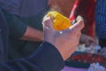 Hand holding steaming piece of corn on the cob at crawfish boil - selective focus Royalty Free Stock Photo