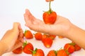 Hand holding strawberry Royalty Free Stock Photo