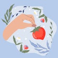 Hand holding a strawberry branch. Illustration of red strawberries. A fashionable cartoon hand holding strawberries surrounded by