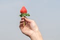 Hand holding a strawberry