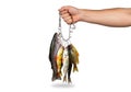 Hand holding stringer of freshly caught fish, including trout and perch {Ai generated Royalty Free Stock Photo