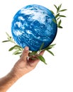 Hand holding and supporting blue planet Earth, with peace symbol olive tree leaves, isolated. Peace concept Royalty Free Stock Photo