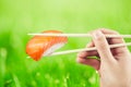 Hand holding sushi roll using chopsticks Royalty Free Stock Photo