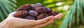 Hand holding sweet dates with copy space on blurred background, perfect for text placement