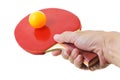 Hand holding table tennis bat